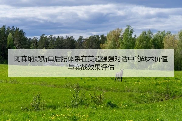 阿森纳赖斯单后腰体系在英超强强对话中的战术价值与实战效果评估