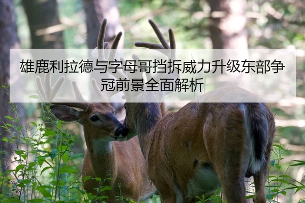 雄鹿利拉德与字母哥挡拆威力升级东部争冠前景全面解析